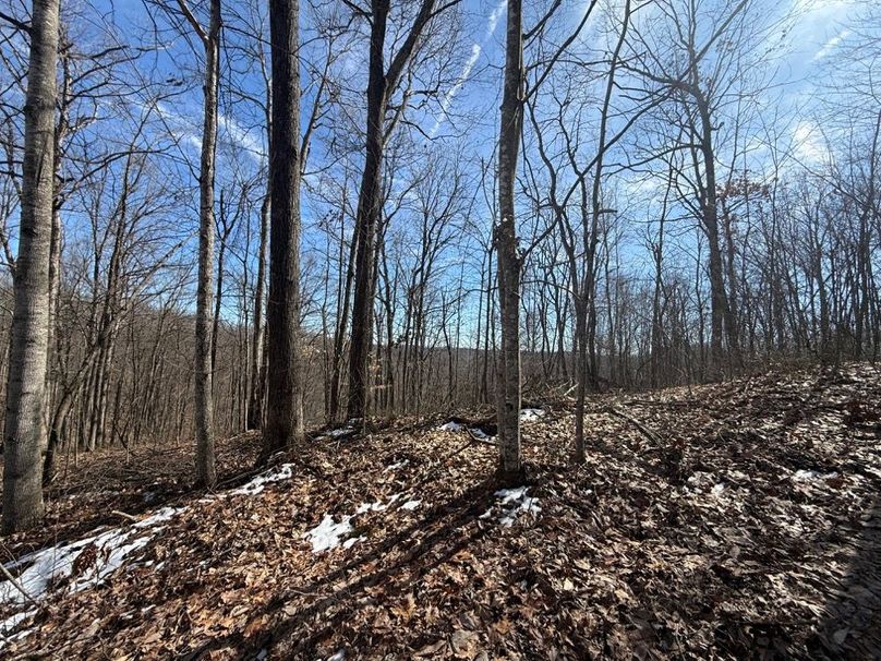 008 a north facing slope in the east part