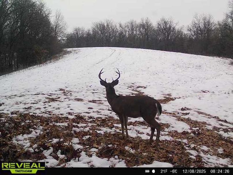 865814043110707-50-4-12082025082426-W1165244