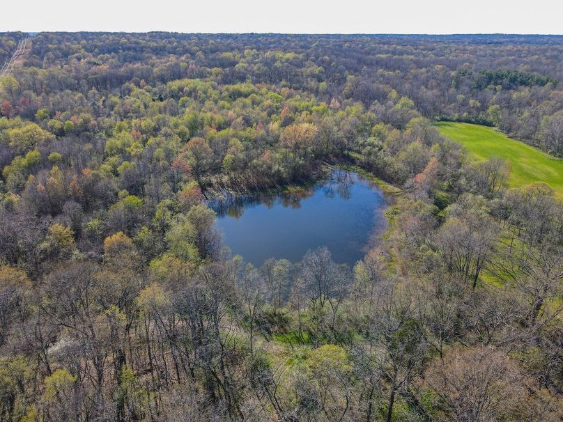 vandalia 450 (2)-2507