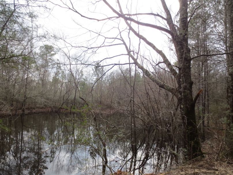 D04AADE4-9AE1-4840-8B41-FE8D20C4D74D_1_105_c