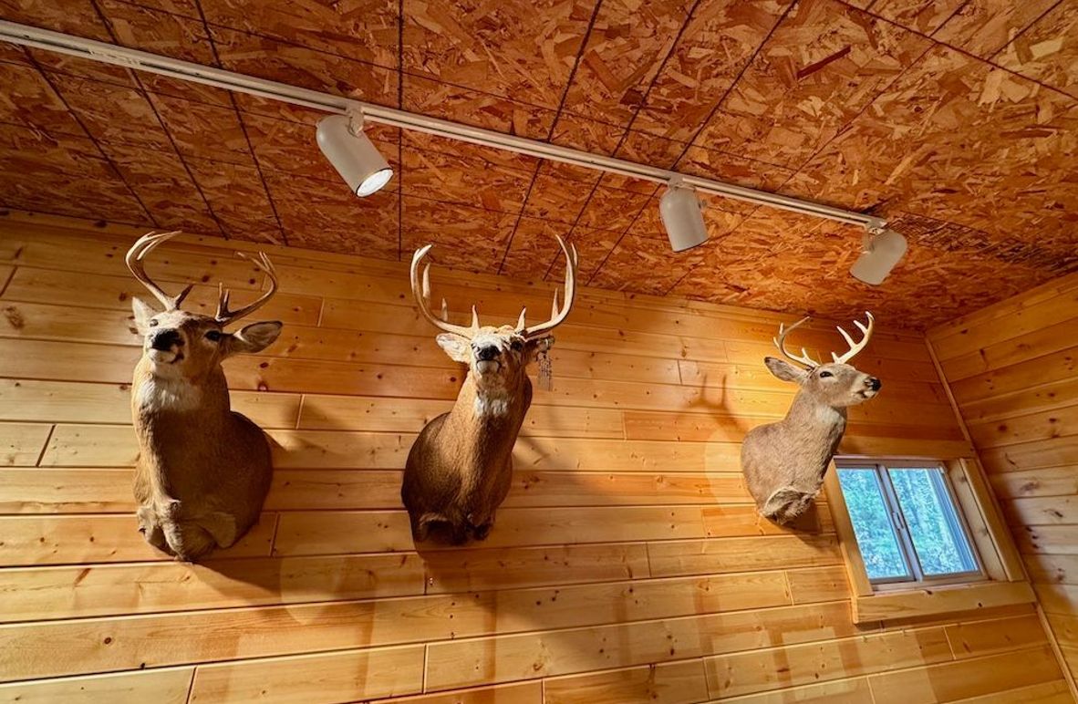 Jackson135Updated - 4