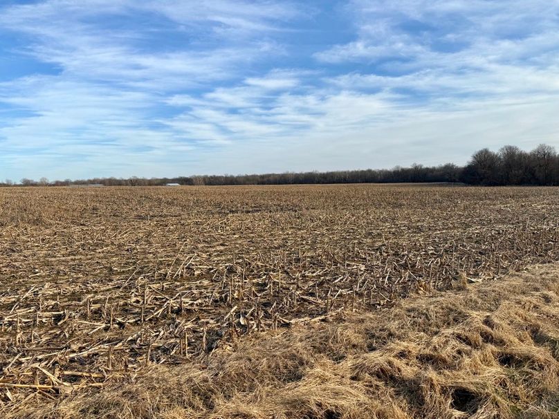 Copy of IMG_7198 Large