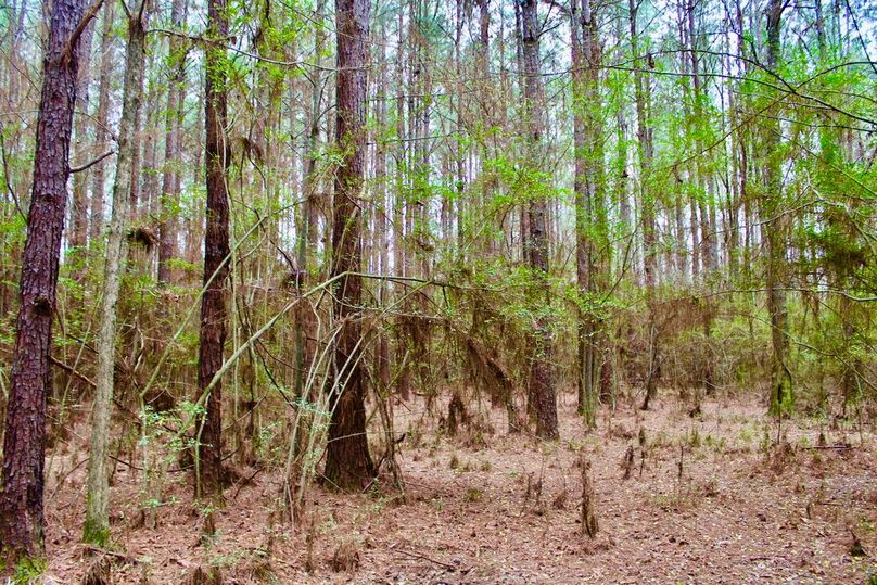 B857C2ED-AA2C-4CBF-BE14-7CD40E7B82B7_1_105_c