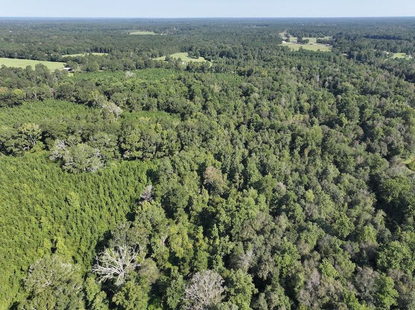 dji_fly_20250903_101518_0395_1757089043418_photo