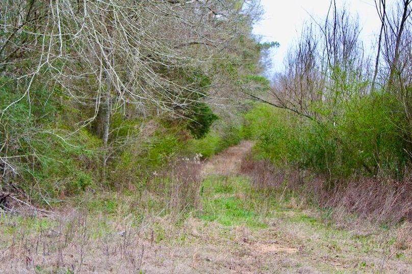 4315399B-4C45-4642-95B5-0D539F8D7582_1_105_c