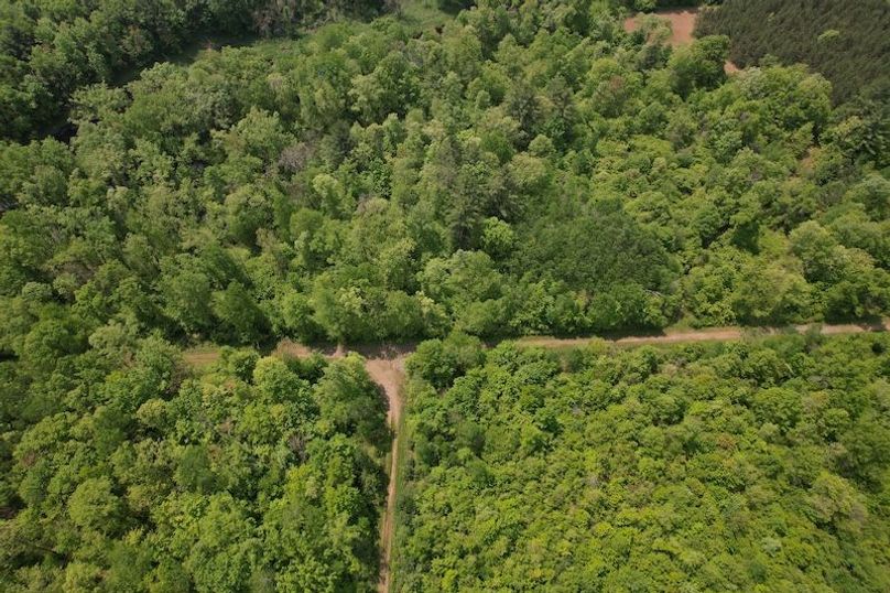 DJI_0159