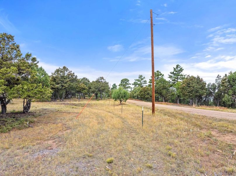 DJI_20250924104651_0103_D