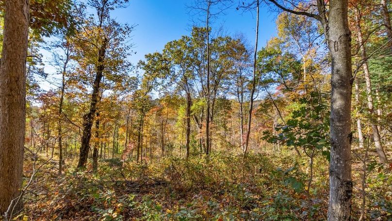 50-zj 18384 Crawmer Rd Se,103-2