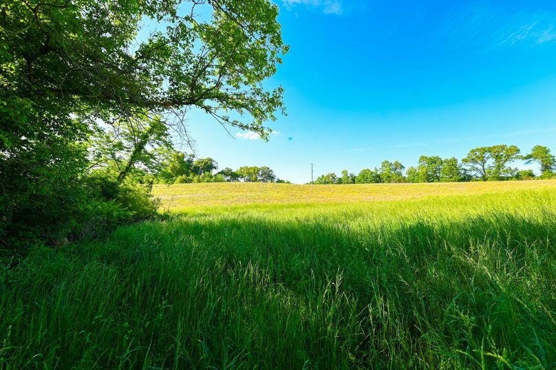 Copy of st clair 25 auction(25)