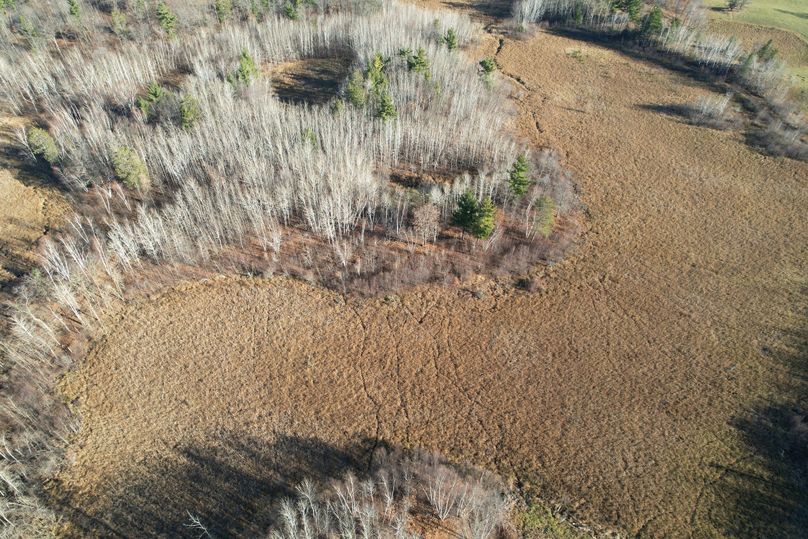 dji_fly_20231113_100506_281_1699892006910_photo