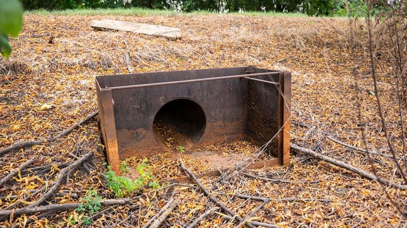 MadisonParLa1372-155