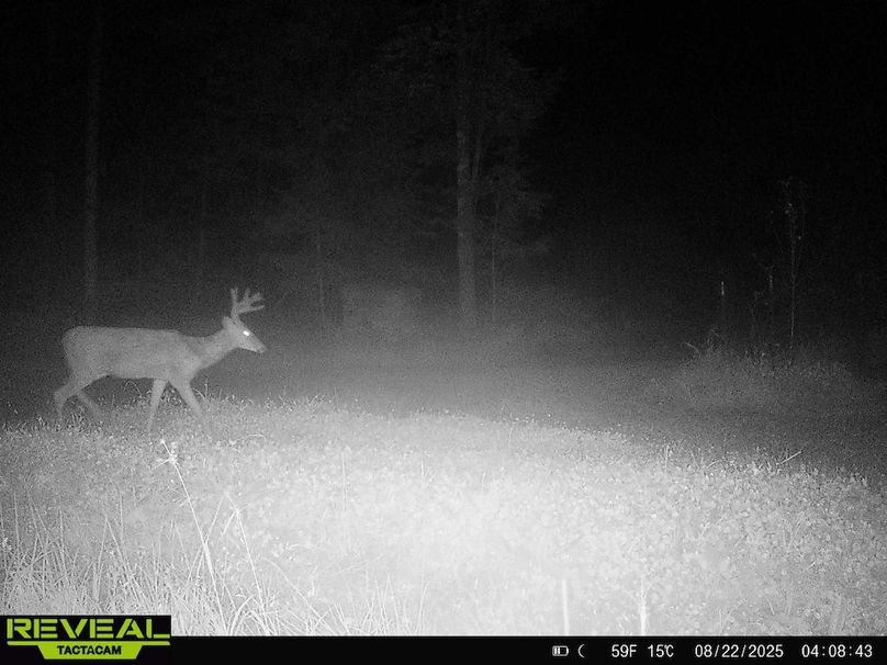 865814048724973-20-2-08222025040842-HD-W1014631