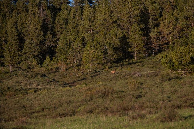 B6275E75-D204-46DE-9C5C-9B5193AF4DAB