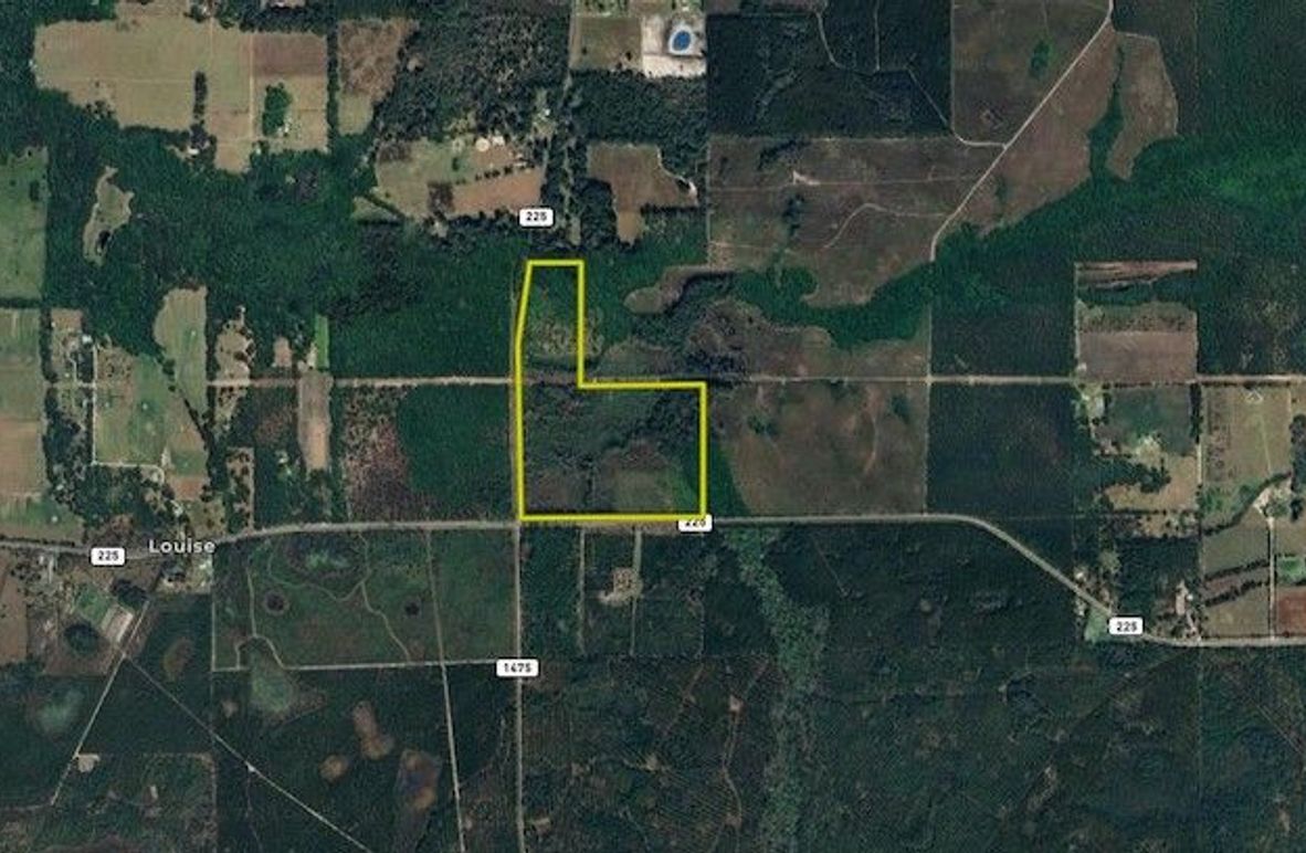 Alachua_84.27_wide