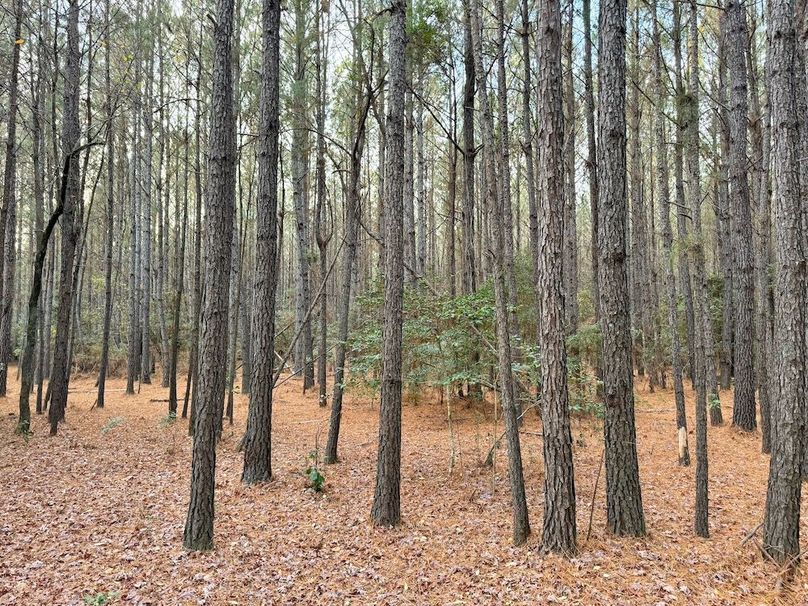 07487F55-8E47-4A14-8D90-B396EDC74C95