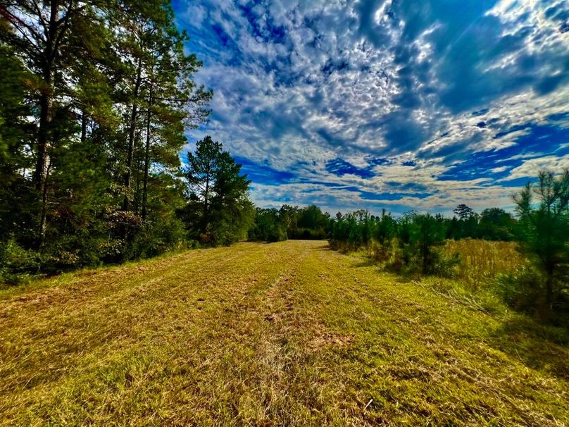 9EF32816-571B-443F-BBD4-7E3922ABCCC1_1_201_a