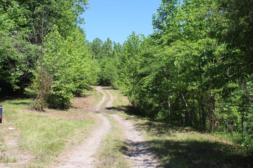 003 road leading in at the northeast section of the property