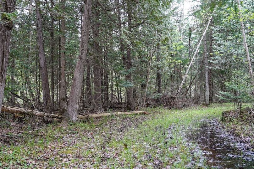 DSC00944