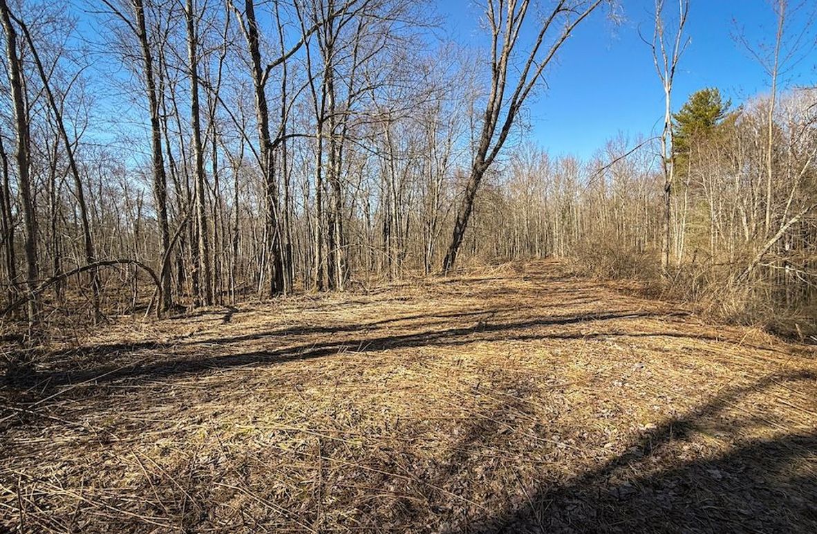 Oswego_16.32_Phillips Photo 5