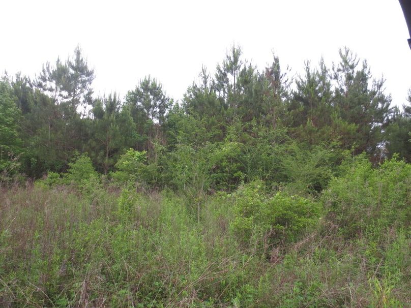 2A35FEC9-6E64-4655-A1A7-9F94D6A5B6F6_1_105_c