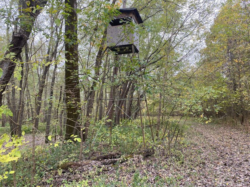 pics from late 2021 and early 2022. New plots being planted in Aug 2023 for new pics (79)