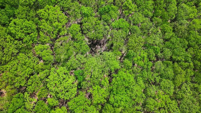 DJI_20250508022847_0122_D