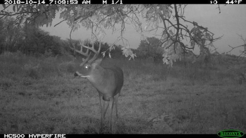 2018-10-14 07-09-53 M 1_1