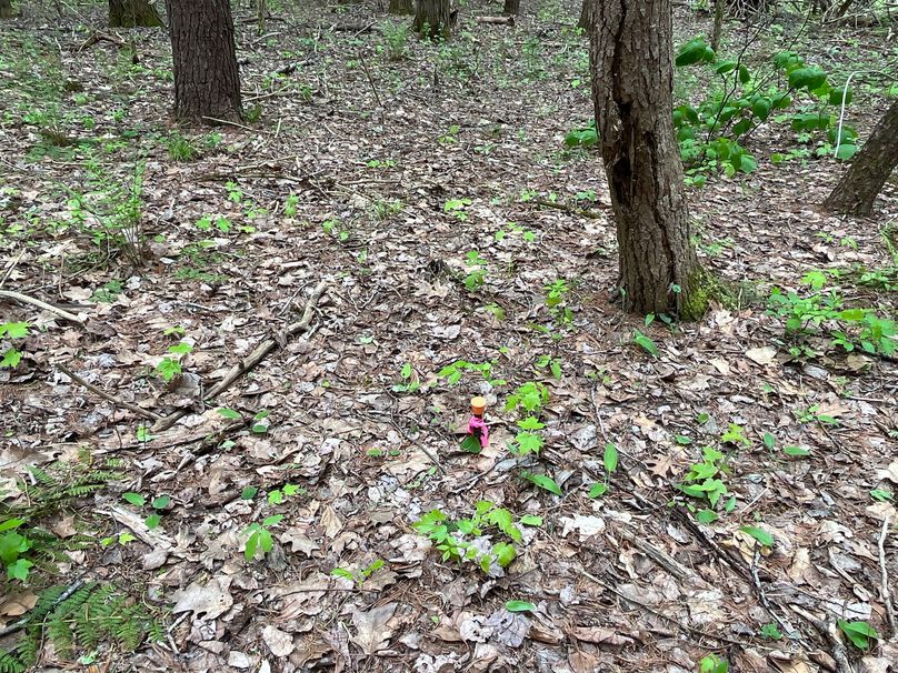 Tioga_18.72_Coulson Photo 23