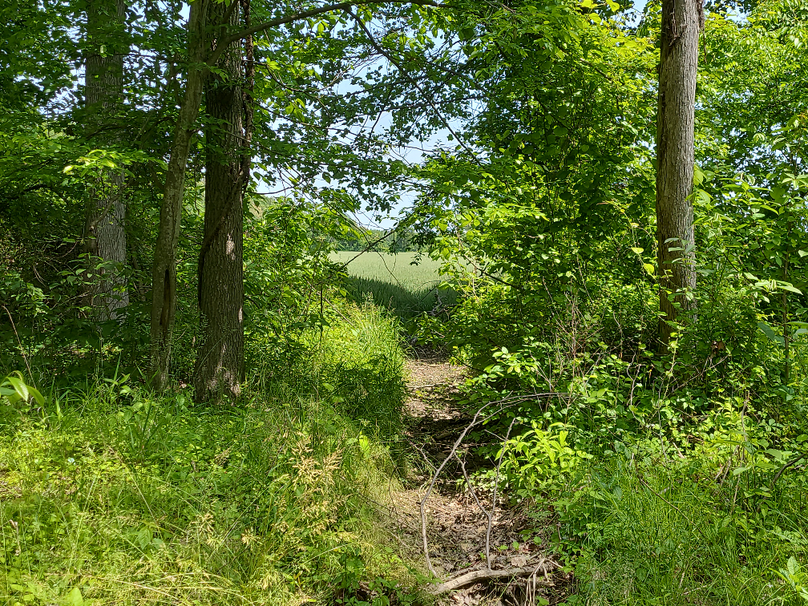 26.48ac_McKenneyLn_QAnnes_14