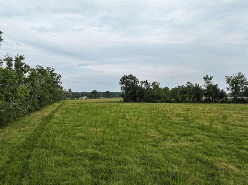 dji_fly_20250730_082938_0306_1753888802478_photo