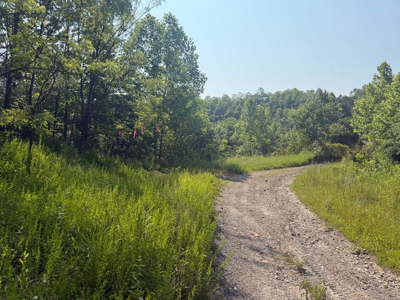 022 the old mine road leading around the south edge of the property-2