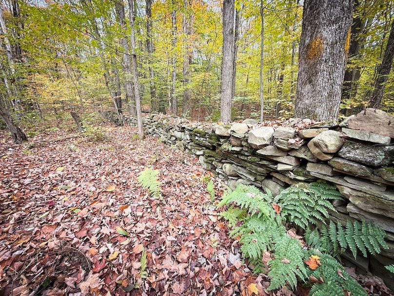 Oswego NY 6.68 Photos 25