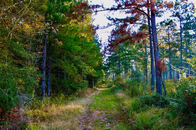 DDE5ECAB-C0D3-48BF-82B8-79F8913123B4_1_201_a