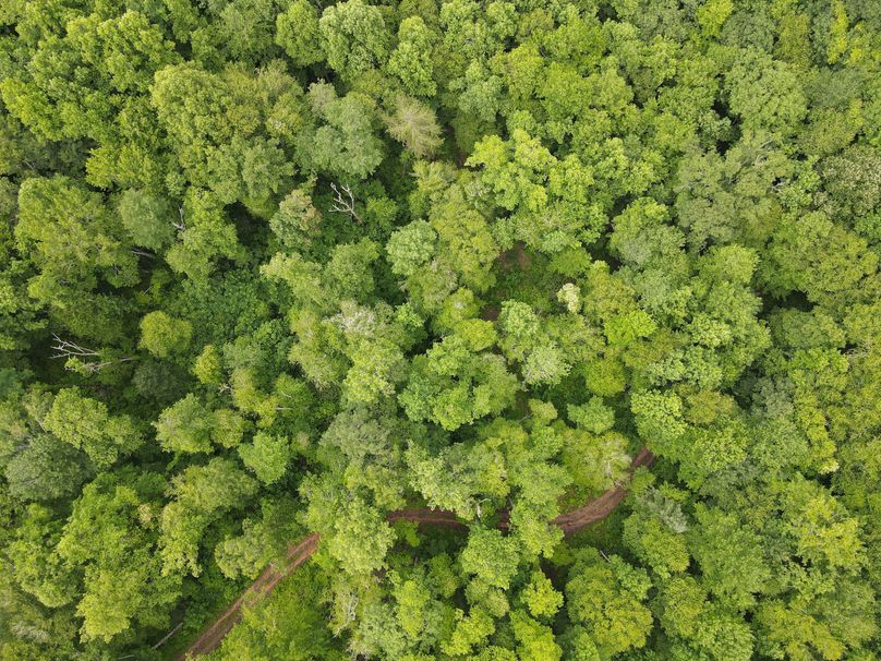 Swain 39 Tysinger-18