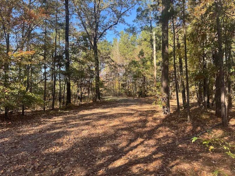 jeff 5020251111_0305