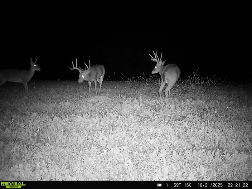 864049058814197-100-4-10222025173954-HD-SYFW9692