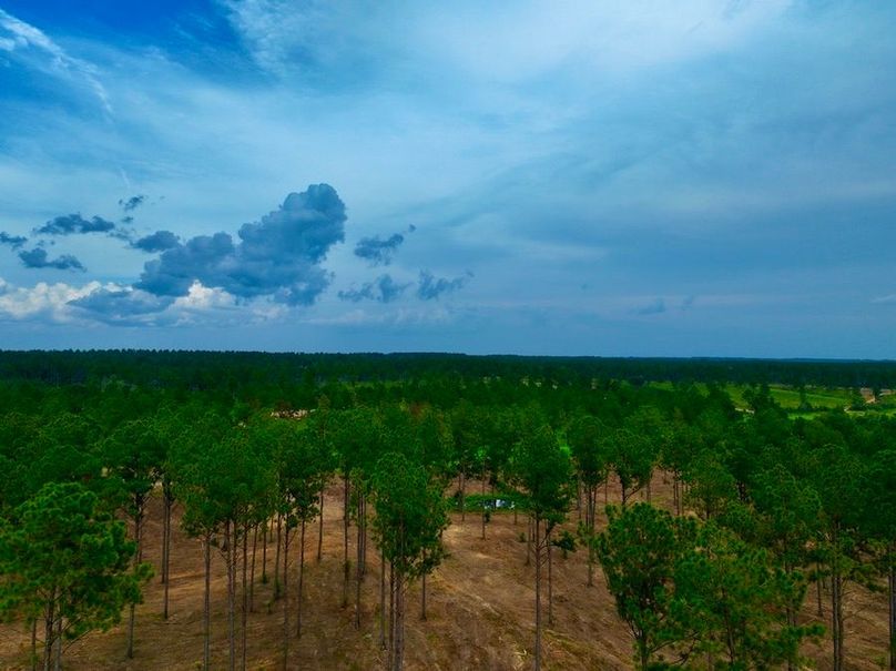 8059AE58-E10D-4A0D-844A-3284B71009ED_1_105_c