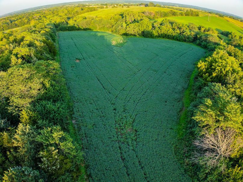 DJI_20250723195508_0387_D