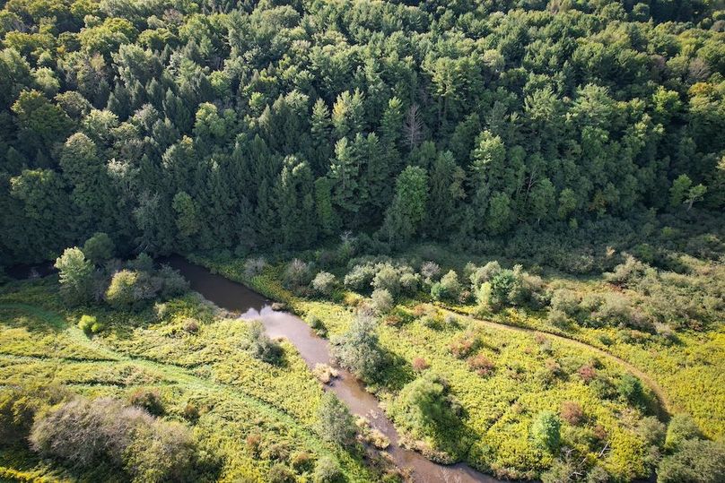 Tioga__NY_109.7_Burris_Photos_9