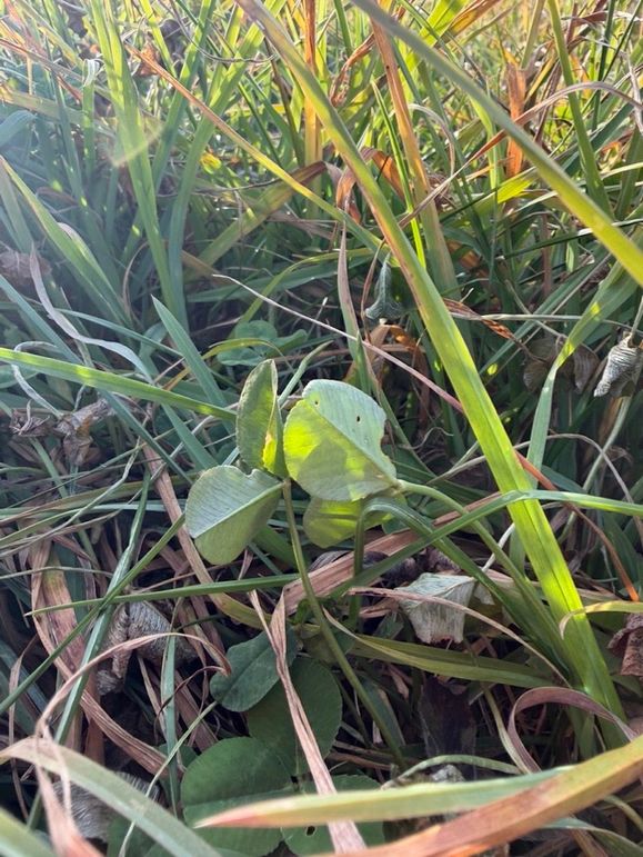 9F27F8F8-F805-4163-9738-3A8C42B881C2_1_105_c-2