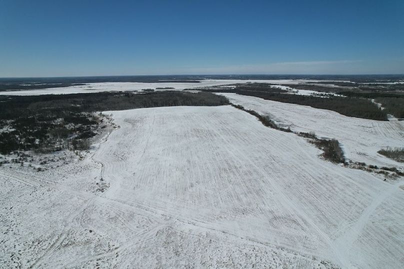 dji_fly_20260311_115106_98_1773248443737_photo (1)