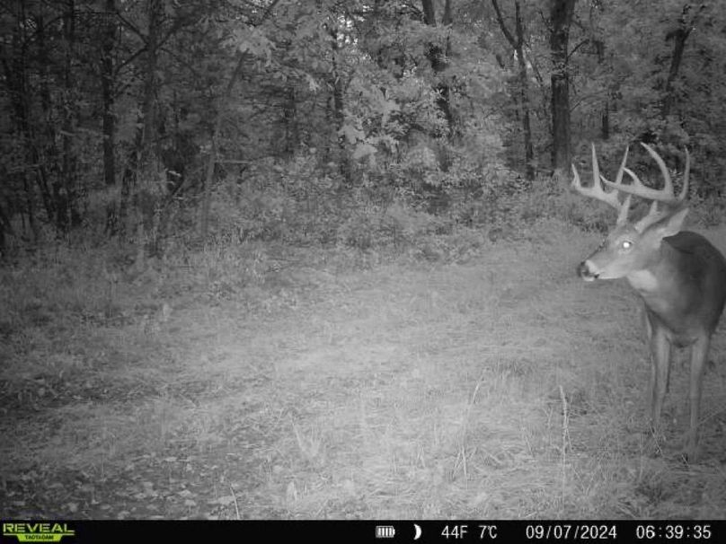 860322061934193-100-4-09072024063934-W1006176