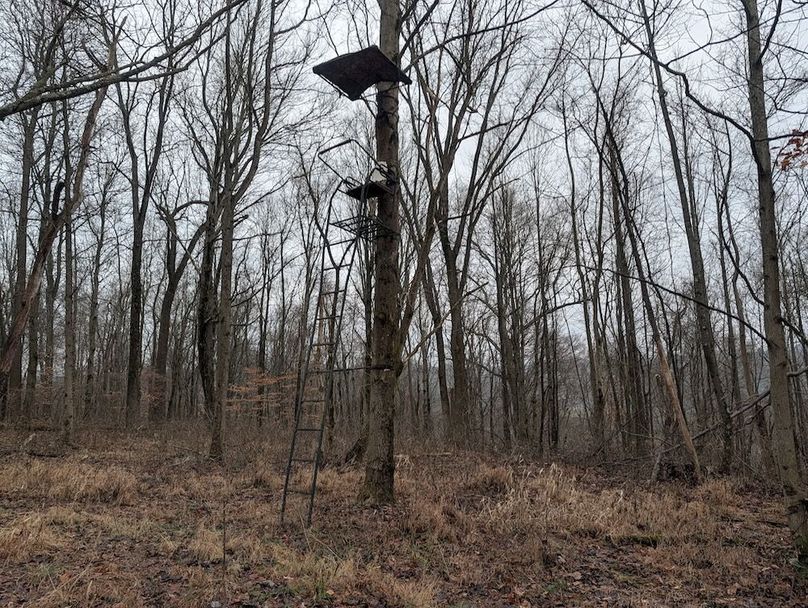 PXL_20260107_170958038