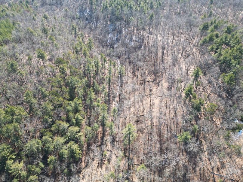 DJI_0517