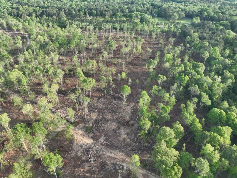 dji_fly_20260407_083552_362_1775580289418_photo