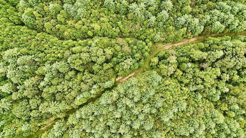 DJI_20250820164015_0065_D