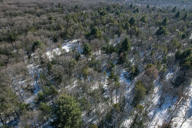 Adams 25, Nessler -73