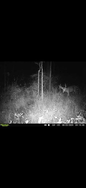 Screenshot 2026-02-27 at 4.17.09 PM