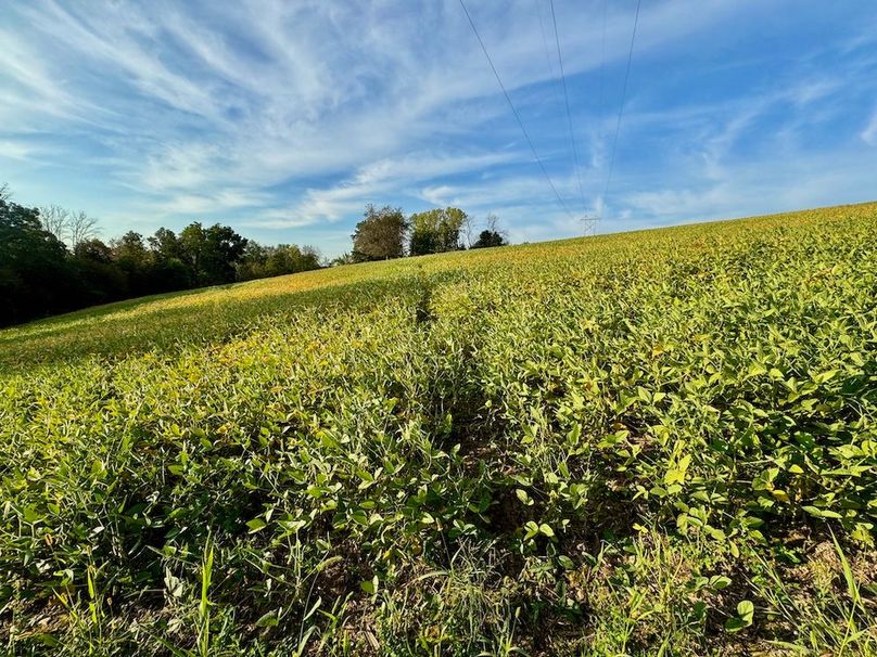 Richland 199Ground - 29