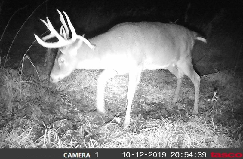 Screenshot 20191013-202038